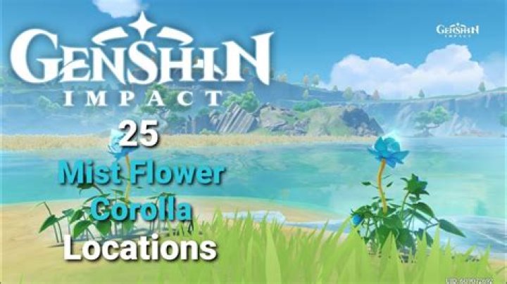 Where are mist flowers in genshin impact