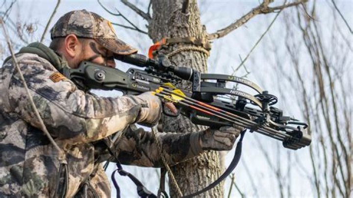 Where can I hunt in Kentucky?