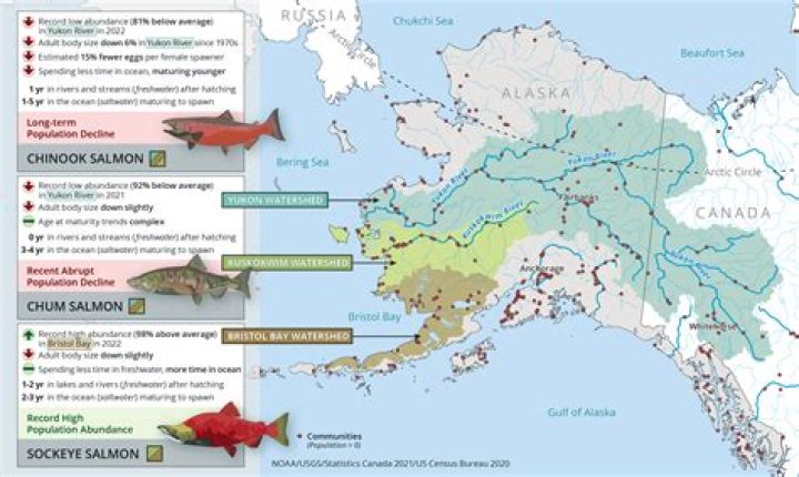 Where is copper river salmon from?
