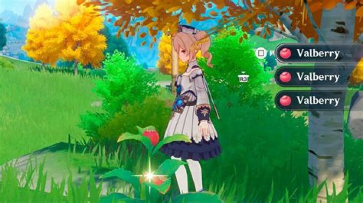 Where to buy valberry genshin impact