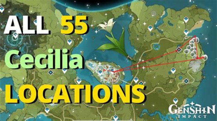 Where to find cecilia genshin impact