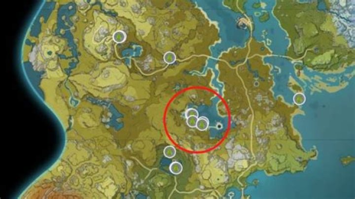 Where to find frogs in genshin impact