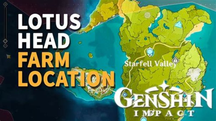 Where to find lotus head genshin impact
