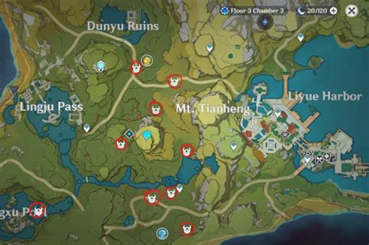 Where to find treasure hoarders genshin impact