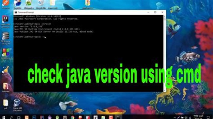 Which tool can we use to check Java app security?