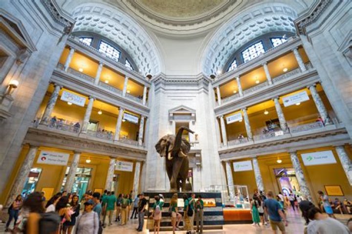Why are museums fun?