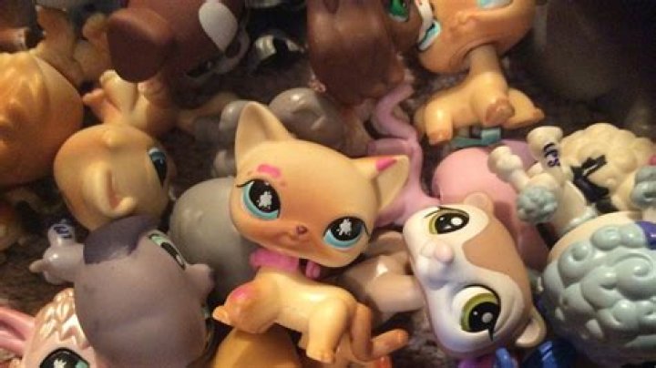 Will Hasbro bring back the old LPS?