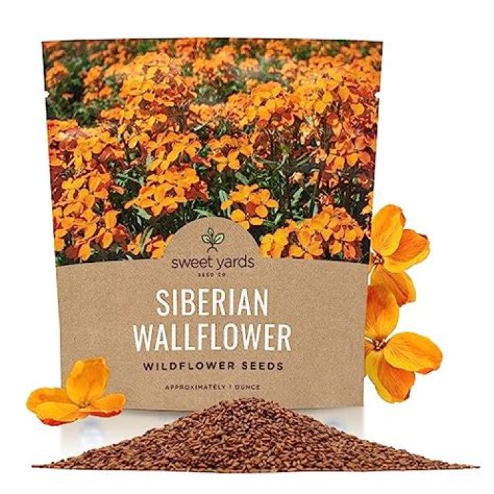 Will wallflowers self seed?