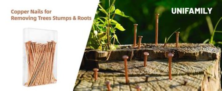 Would a copper nail kill a tree?